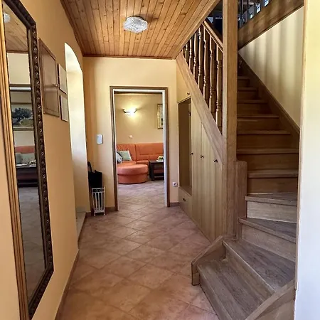 House Nono Dildo Villa *