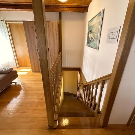 House Nono Dildo *