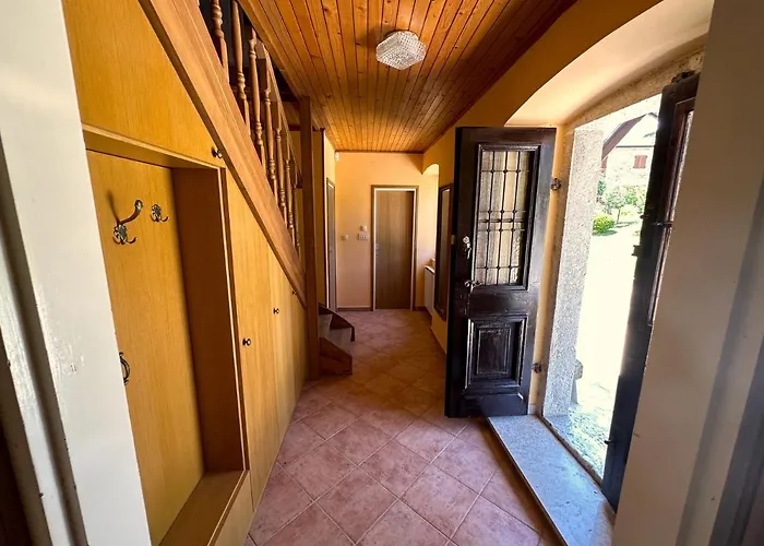 House Nono Dildo Villa *