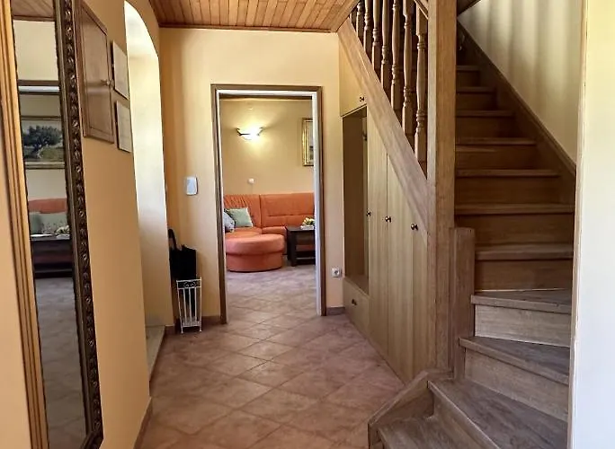 House Nono Dildo Villa *