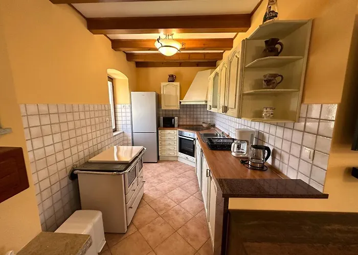 House Nono Dildo Grdoselo