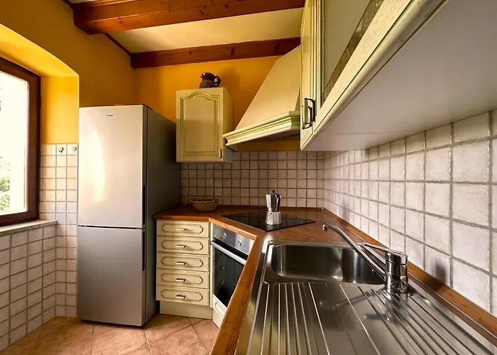 House Nono Dildo Grdoselo